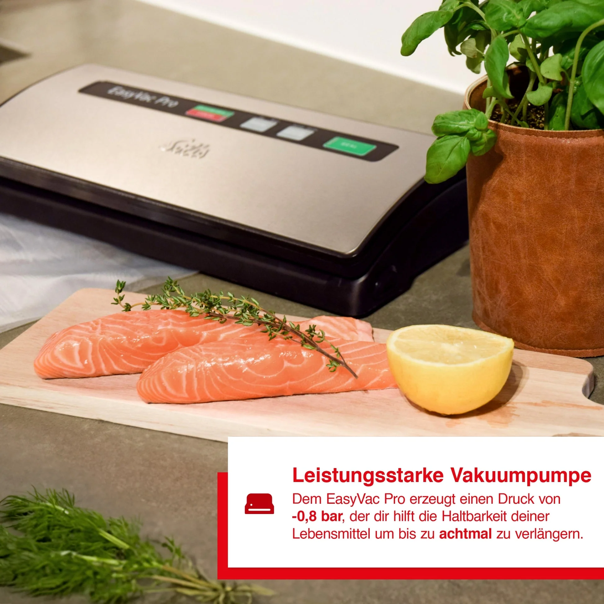 Solis EasyVac Pro (Silber) - Image 10