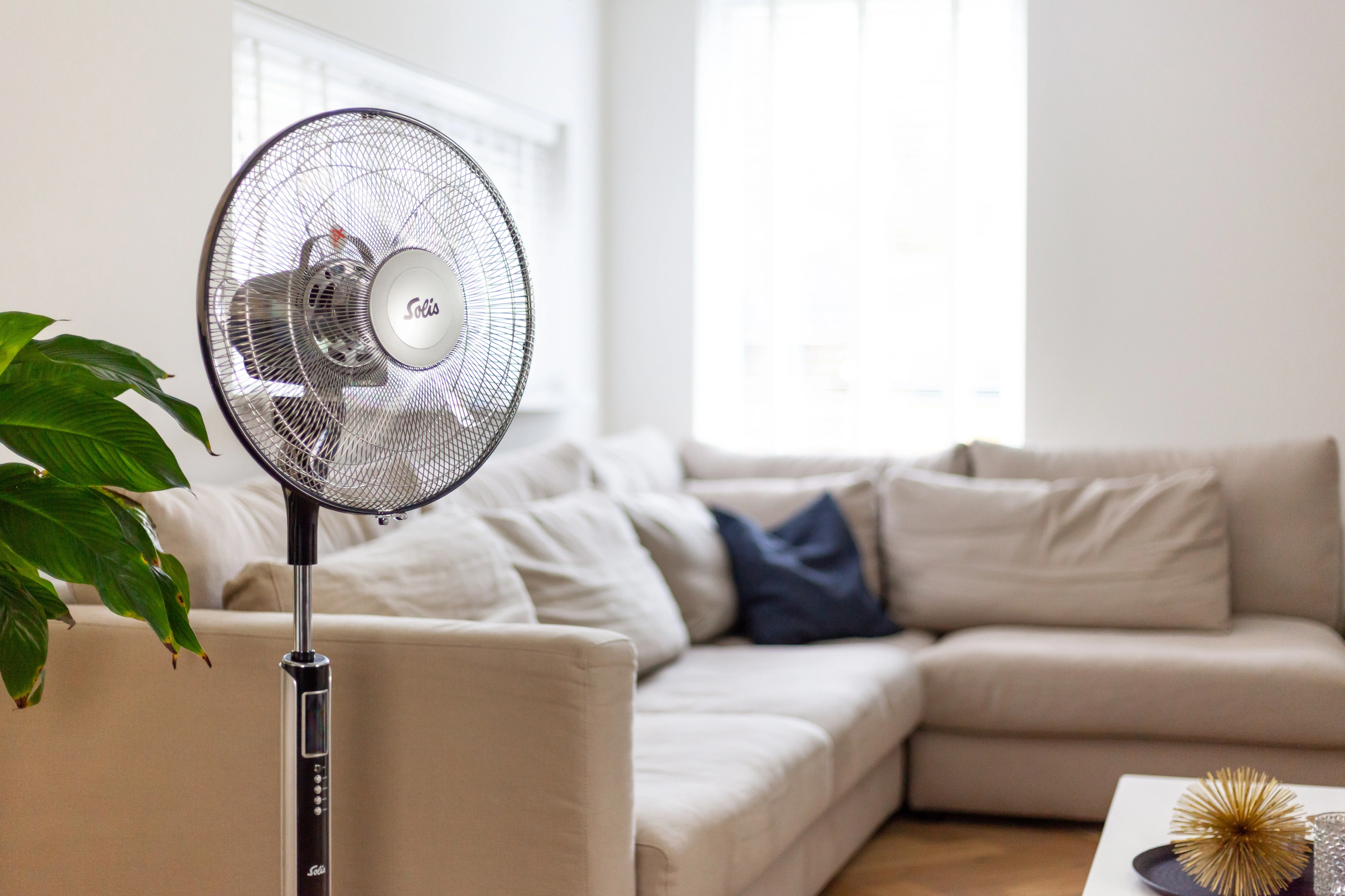 Solis Fan-Tastic - Image 6