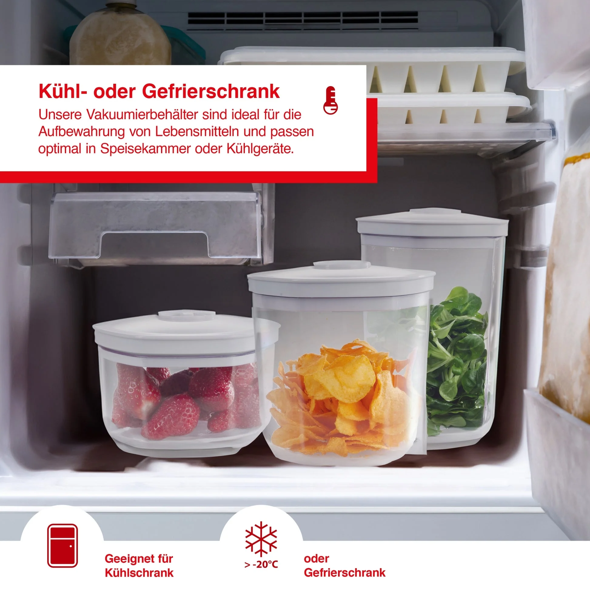 Solis Vakuumbehälter (3 Stück) - Image 8